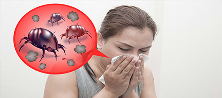 Аллергия на пылевого клеща: симптомы и лечение